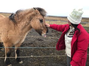 今回食事付き、添乗員さん付きという至れり尽くせりツアーでした。物価の高い国...