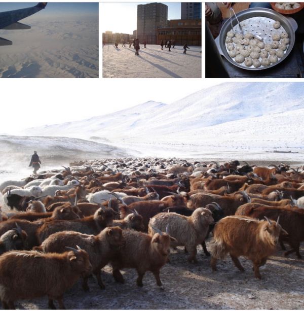 モンゴル国・ウランバートル　「モンゴル旅行」の写真