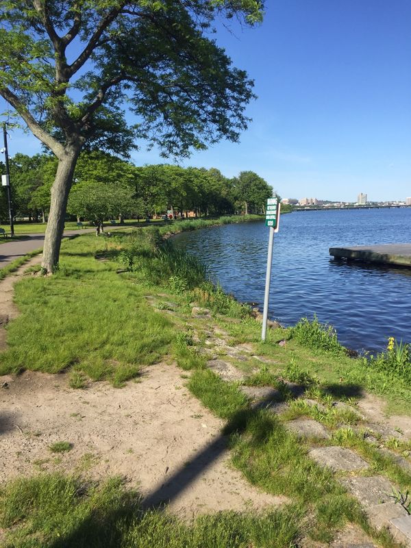 アメリカ(米国)「ボストン」の写真