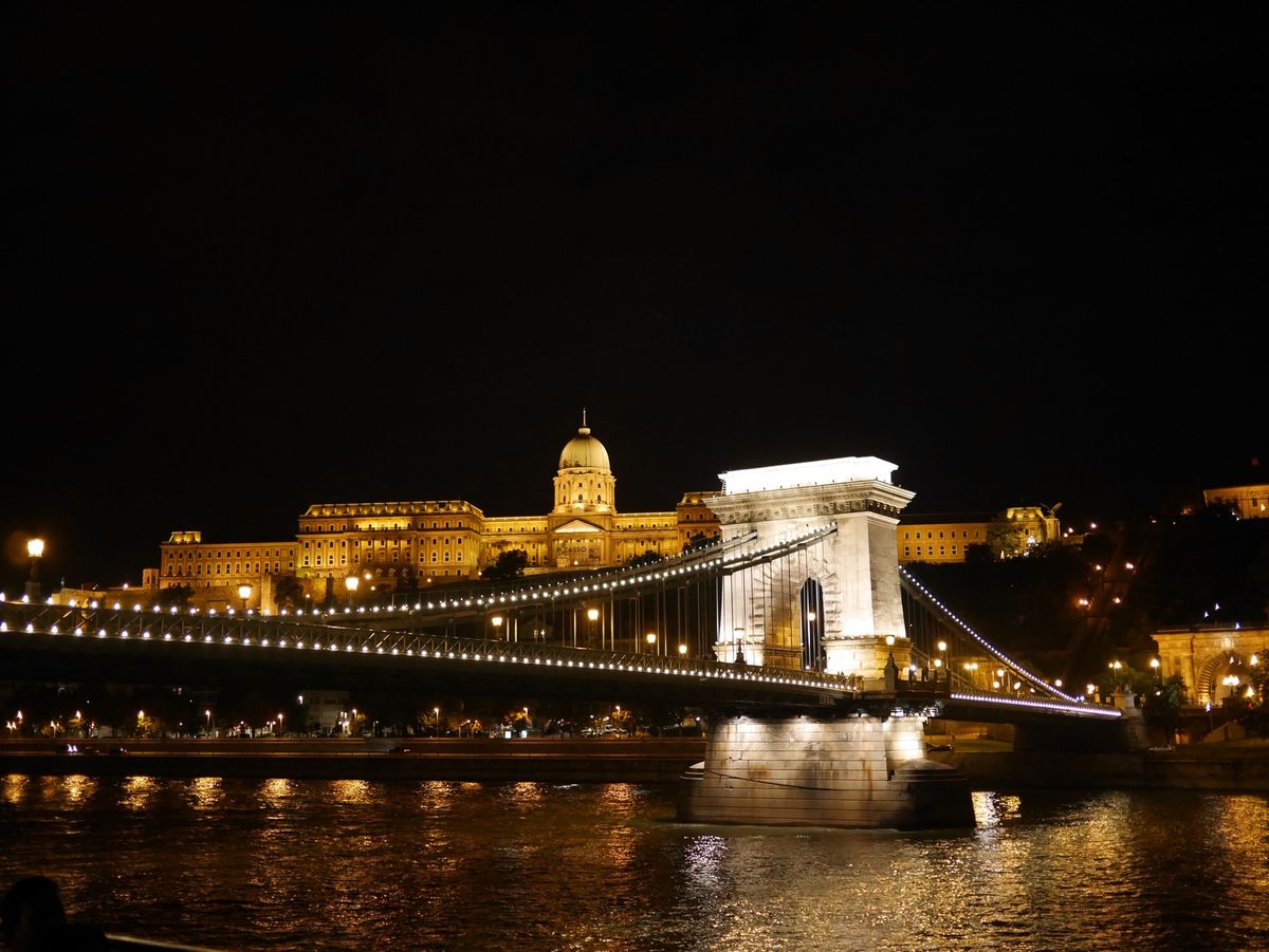 ドナウ川ナイトクルーズ⛴
ライトアップされた国会議事堂とくさり橋🌉
ディナ...