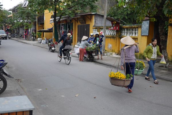 ベトナム・ホイアン「ホイアン🇻🇳」の写真
