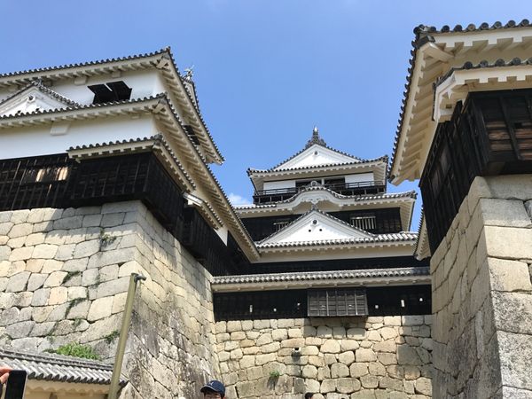 日本・松山市「2017 道後温泉　鳴門」の写真