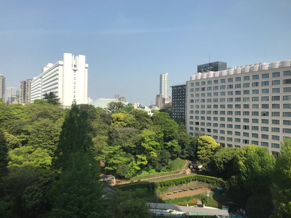 日本・品川　「2017東京　三浦海岸」の写真