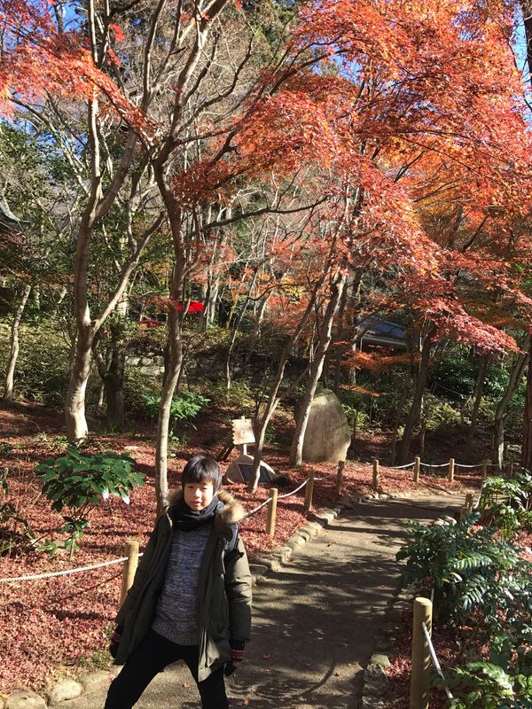 日本・有馬温泉「2016有馬温泉」の写真