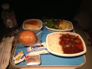 NRT-DFW 
AA176