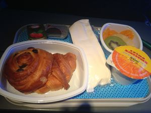 NRT-DFW 
AA176