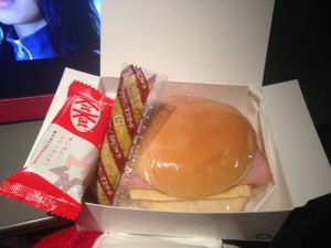 NRT-DFW 
AA176