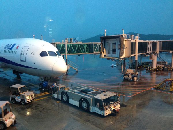 大韓民国 (韓国)・ソウル「韓国旅行」の写真：NH JA832A Boeing787-...