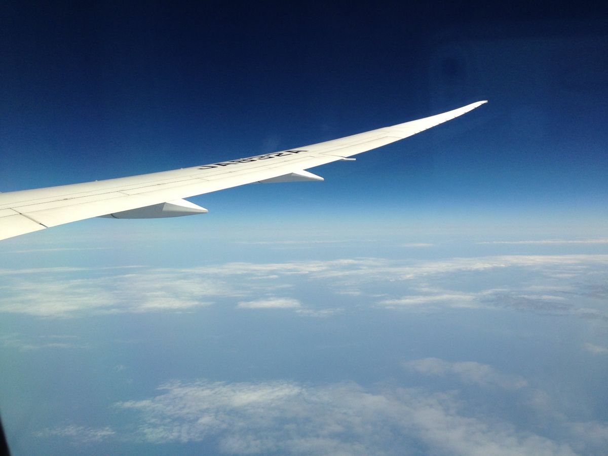 NH　JA832A　Boeing787-8　Dreamlner