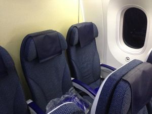 NH JA832A Boeing787-8 Dreamliner