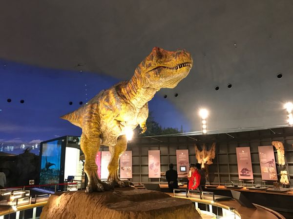 日本・山中温泉「2016社員旅行　福井　金沢」の写真