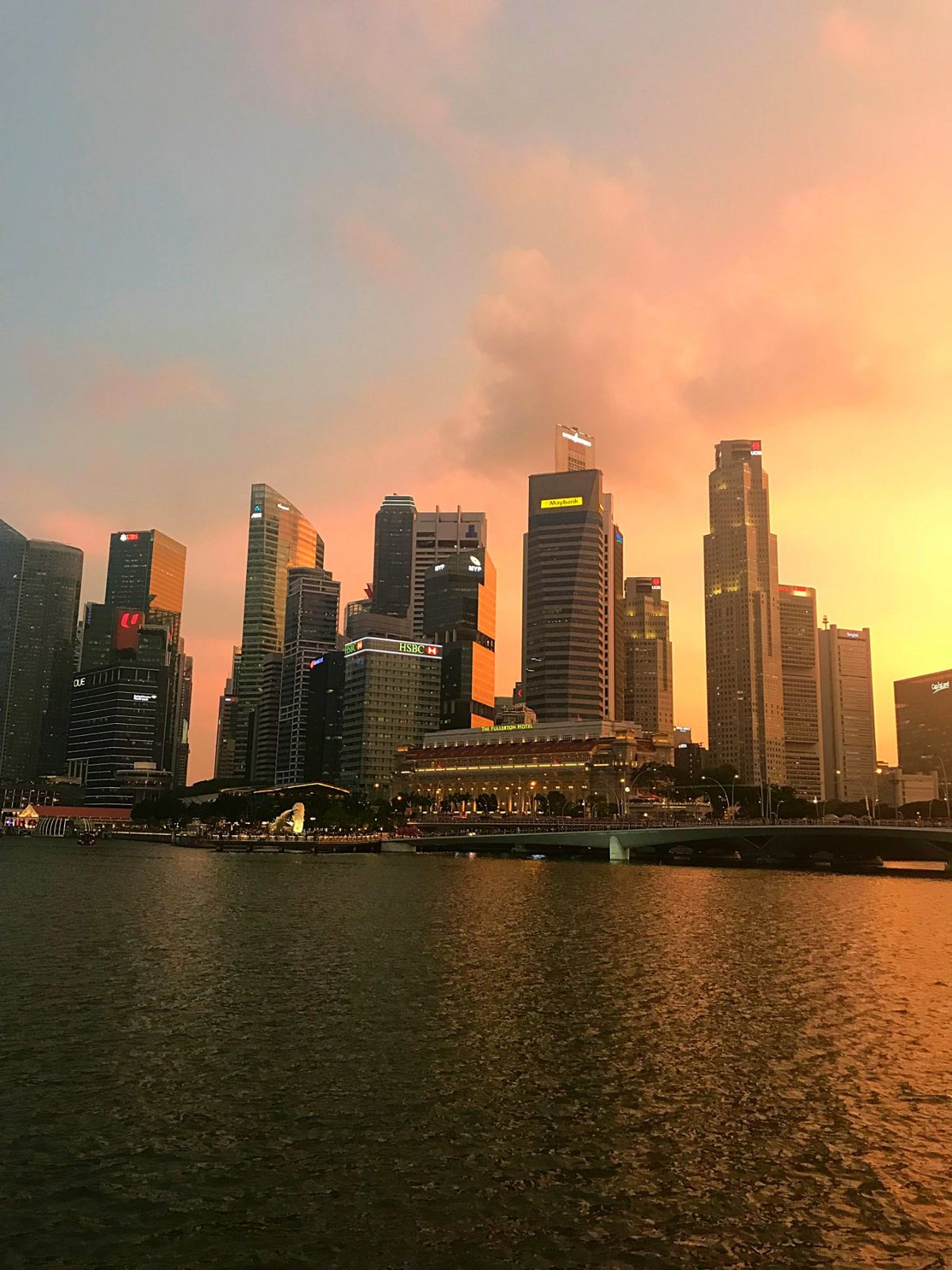 マーライオンのすぐ横にあり、夜景を見ながらチリクラブを楽しめるのが、パーム...