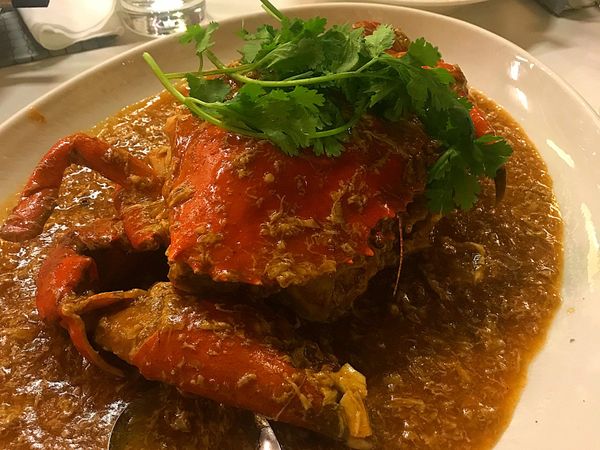 シンガポール・シンガポール「シンガポール王道観光 マーライオンと植物園とチリクラブ」の写真：マーライオンのすぐ横にあり、夜景を見なが...