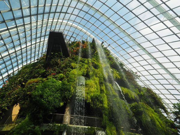 シンガポール・シンガポール「シンガポール王道観光 マーライオンと植物園とチリクラブ」の写真：ガーデンズバイザベイはマリーナベイサンズ...