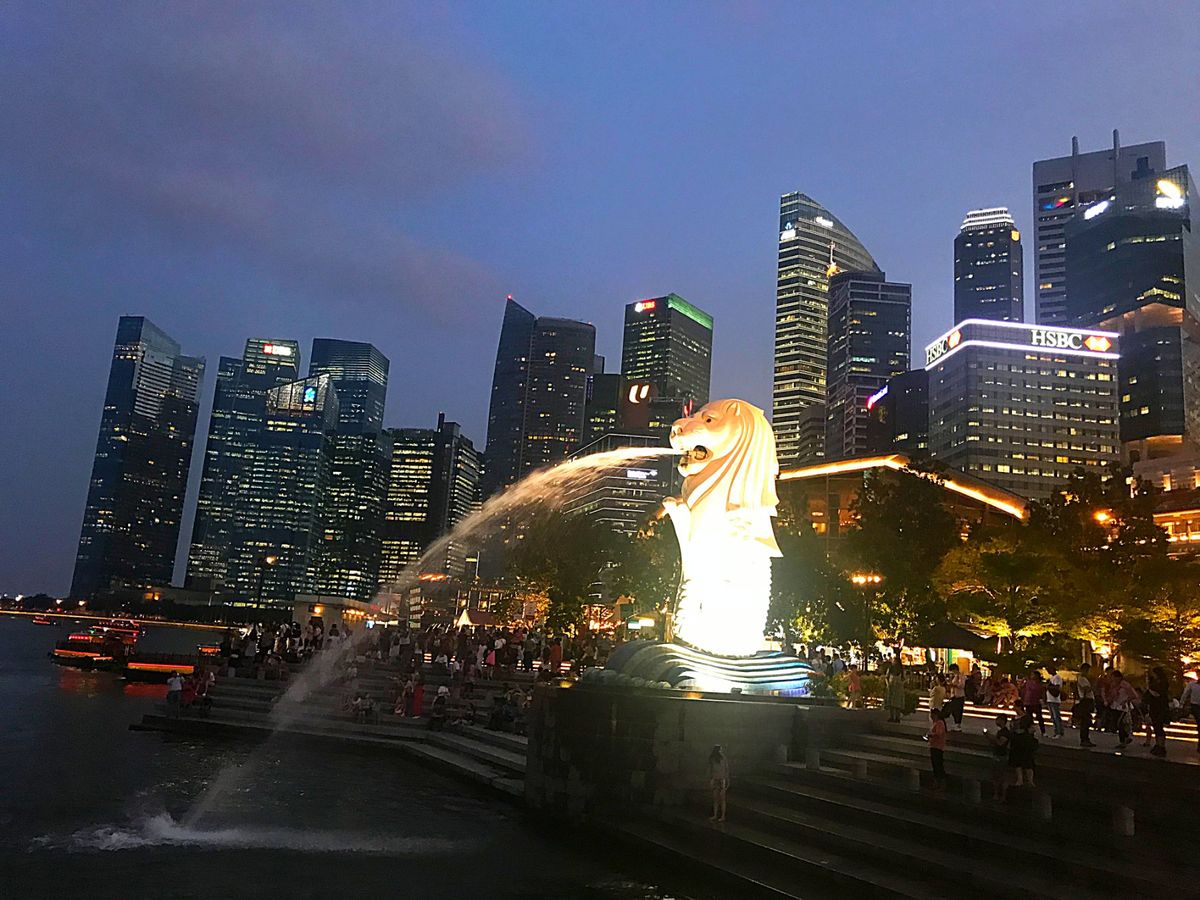 マーライオンのすぐ横にあり、夜景を見ながらチリクラブを楽しめるのが、パーム...