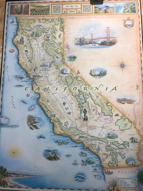 アメリカ(米国)「pismo beach」の写真：ピスモビーチではいろいろなスポーツをして...