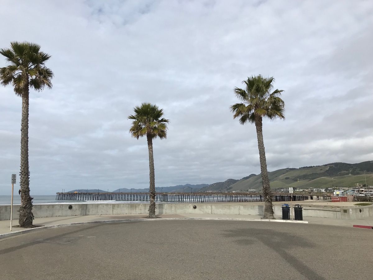 ピスモビーチではいろいろなスポーツをしています。