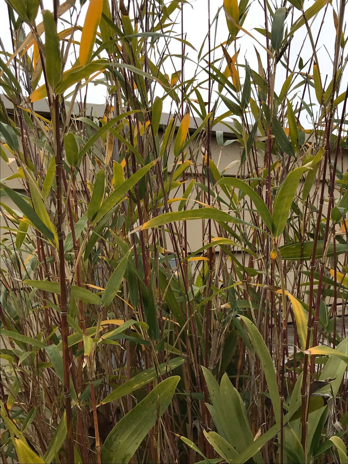 素敵なお庭でリラックス