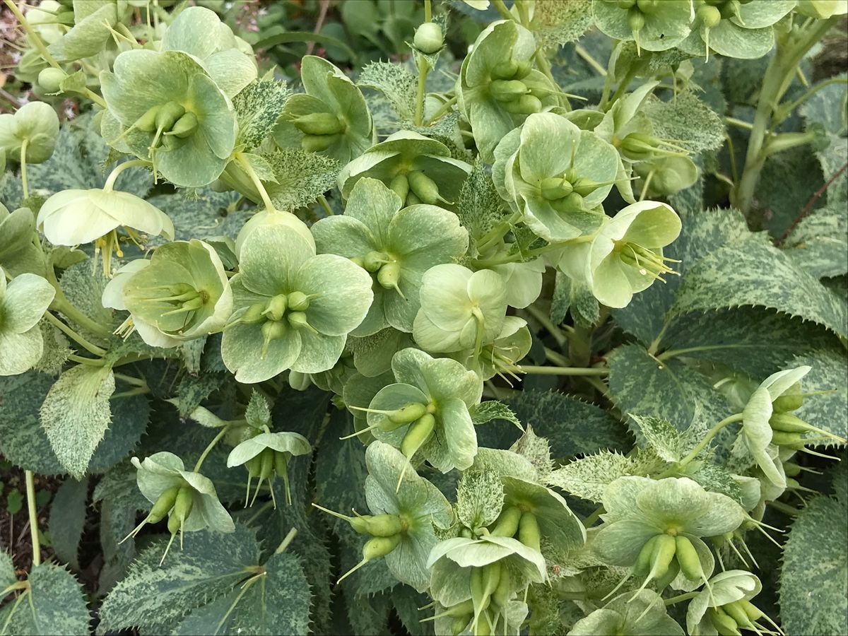 素敵なお庭でリラックス