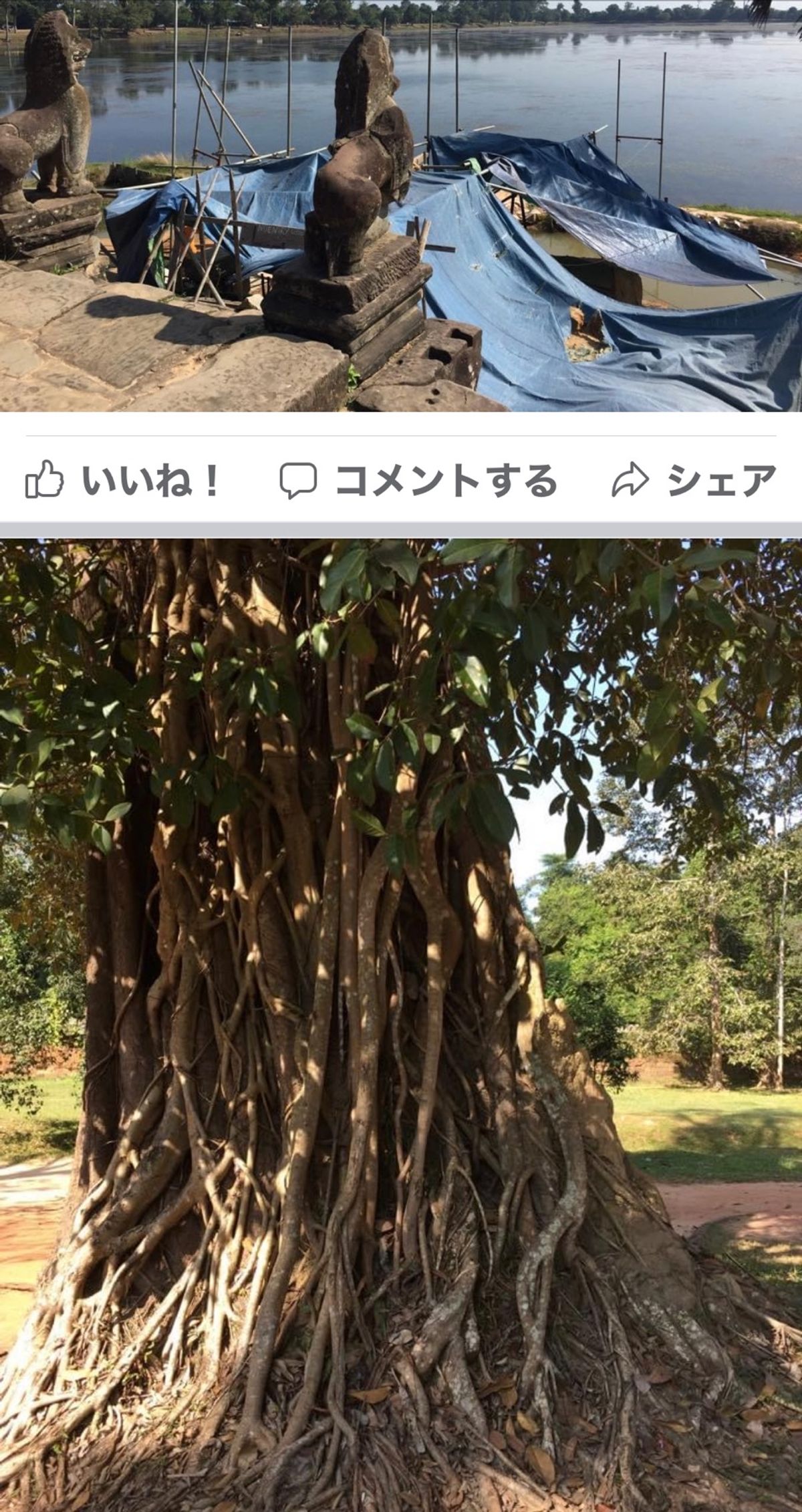 2014.11.21
子どもが売り子
ずるい親玉がいるんだろうけど、
1人...