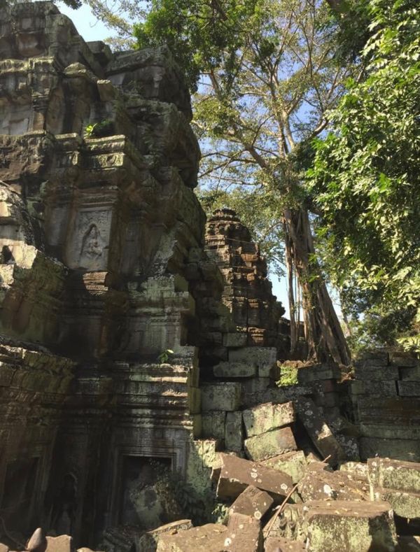 カンボジア・アンコールワット「11月アンコールワット:シュリムアップ」の写真：2014.11.21
タプローム大乗仏教...