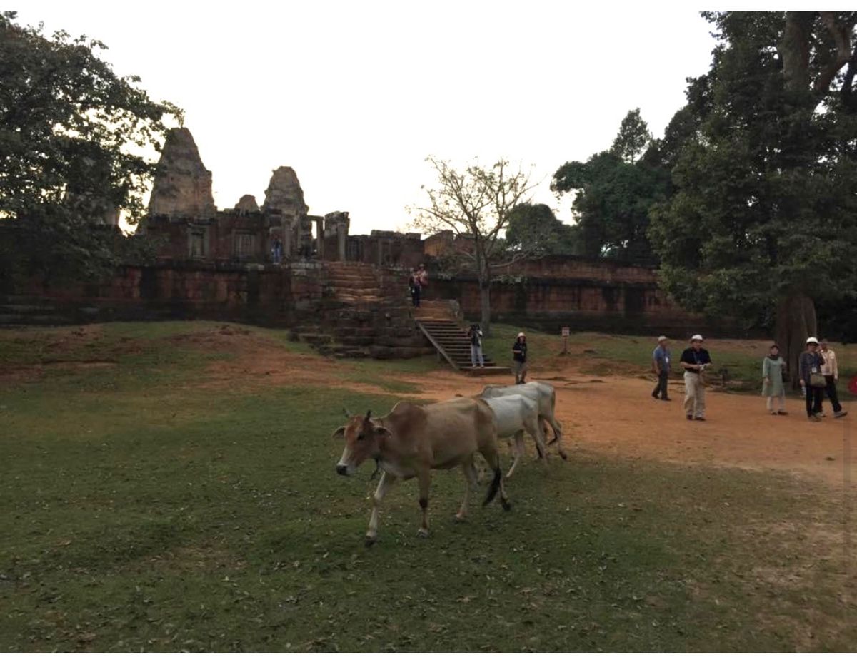 2014.11.21

似たよう遺跡ばかり。
微妙に違う。

あああああ、...