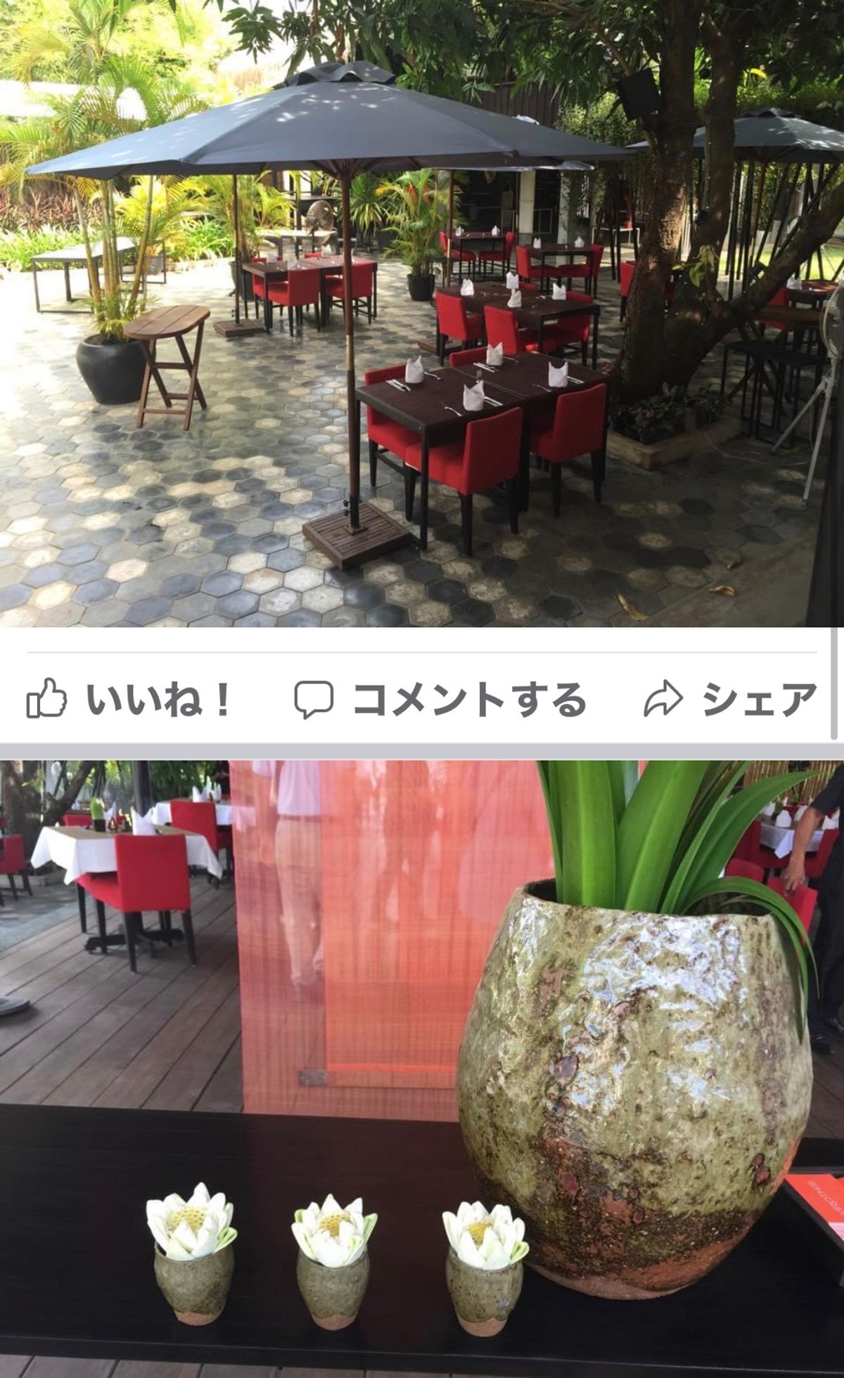 2014.11.21
virothレストラン
クルメール料理ねー
うーん😣...