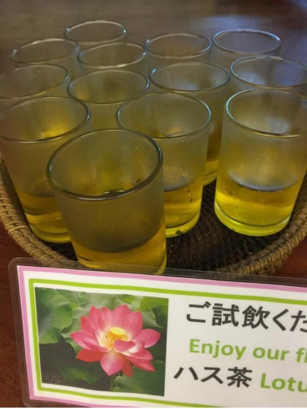 カンボジア・アンコールワット「11月アンコールワット:シュリムアップ」の写真：2014.11.20
ハス茶？うまい！
...