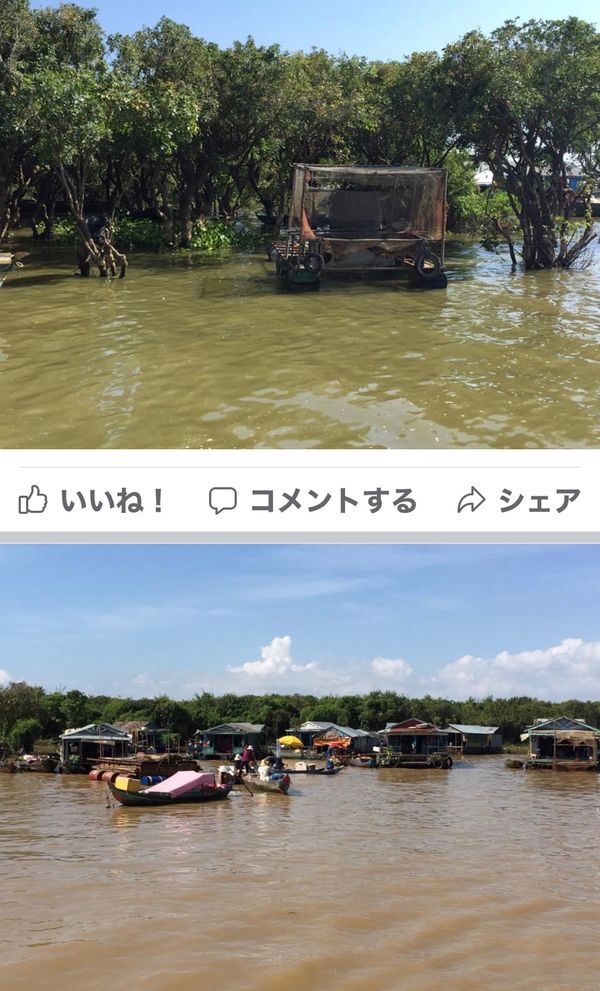 カンボジア・アンコールワット「11月アンコールワット:シュリムアップ」の写真：2014.11.22

日差しが強いー😎...