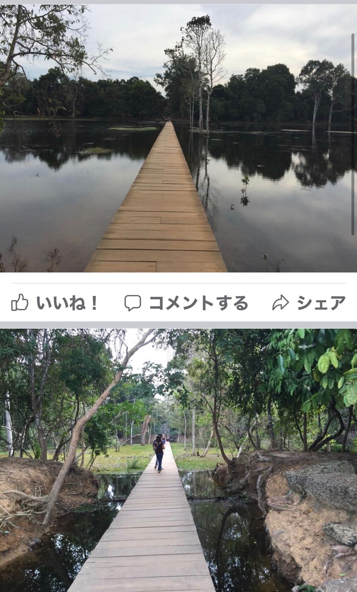 2014.11.21

昼飯食べてホテルに戻り、
シャワー、昼寝。
2時間...