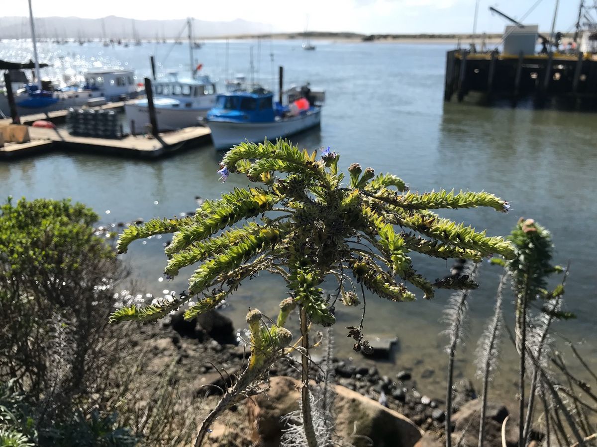 植物も綺麗です