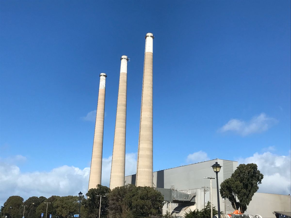 景色だけでなく生き物達ものんびりとしていてまるで天然の水族館のようです