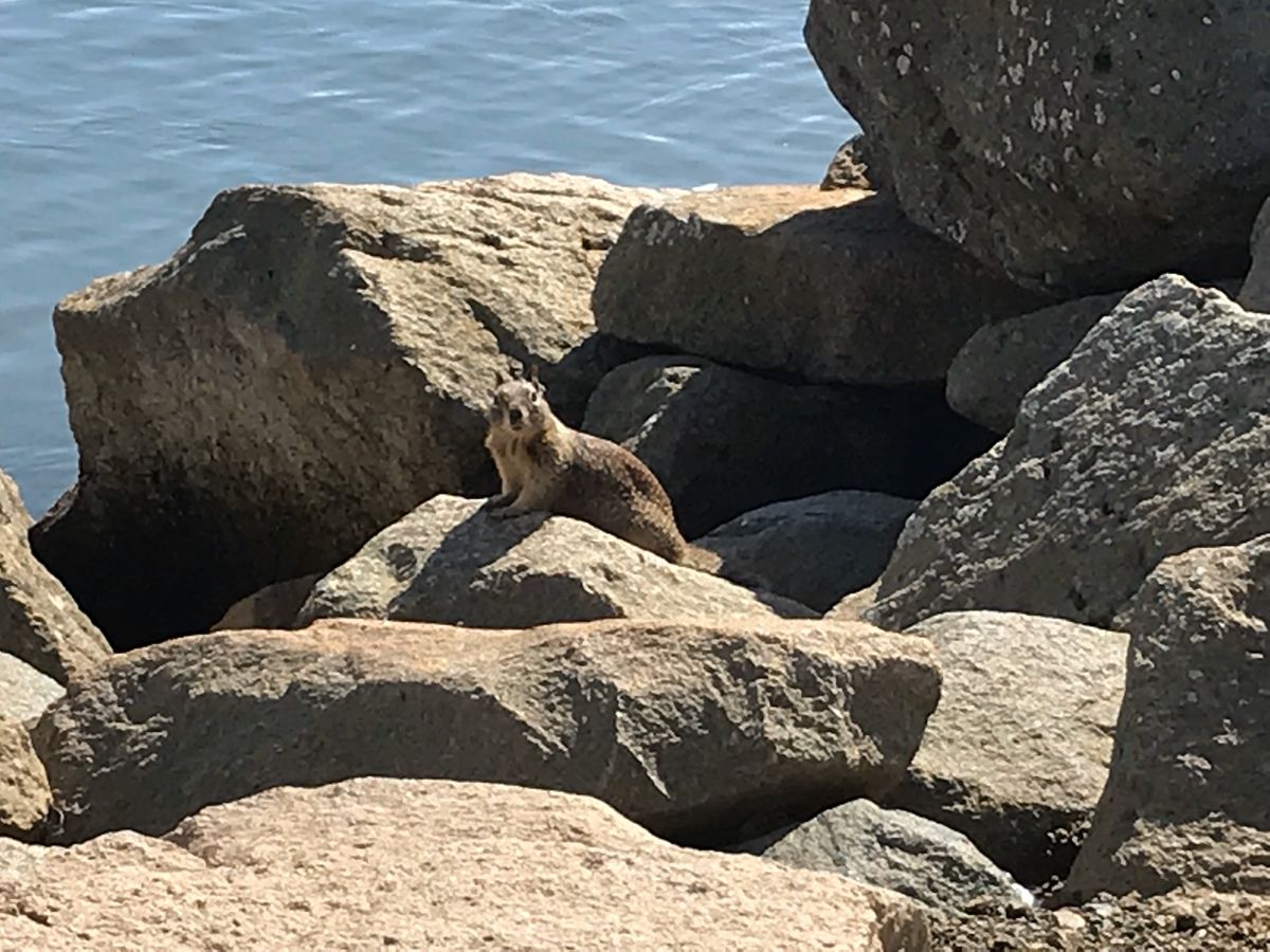 この生き物達全て野生です。