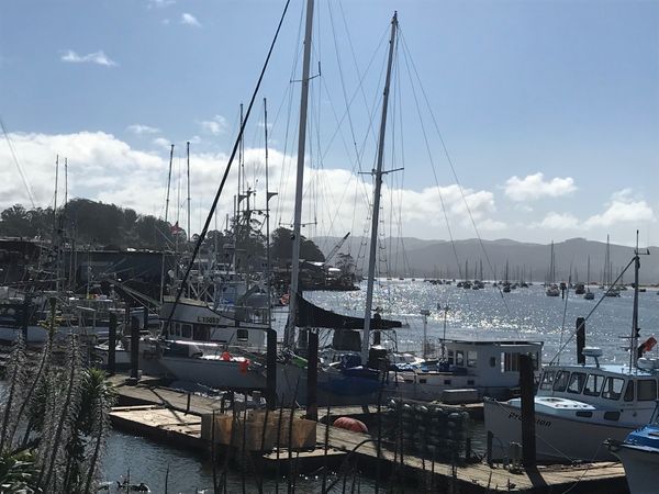アメリカ(米国)「Morro bay rock」の写真：博物館もコンパクトですがあります
