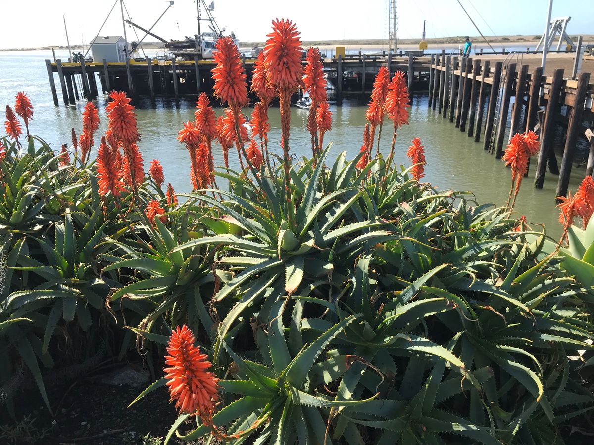 植物も綺麗です