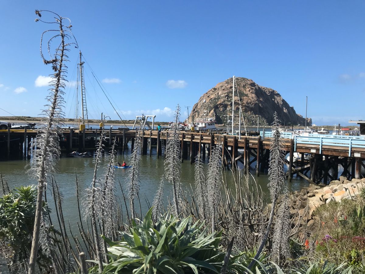 植物も綺麗です