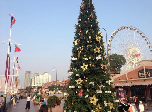 タイ「12月バンコク」の写真：2013.12.09
プールで日光浴
タ...