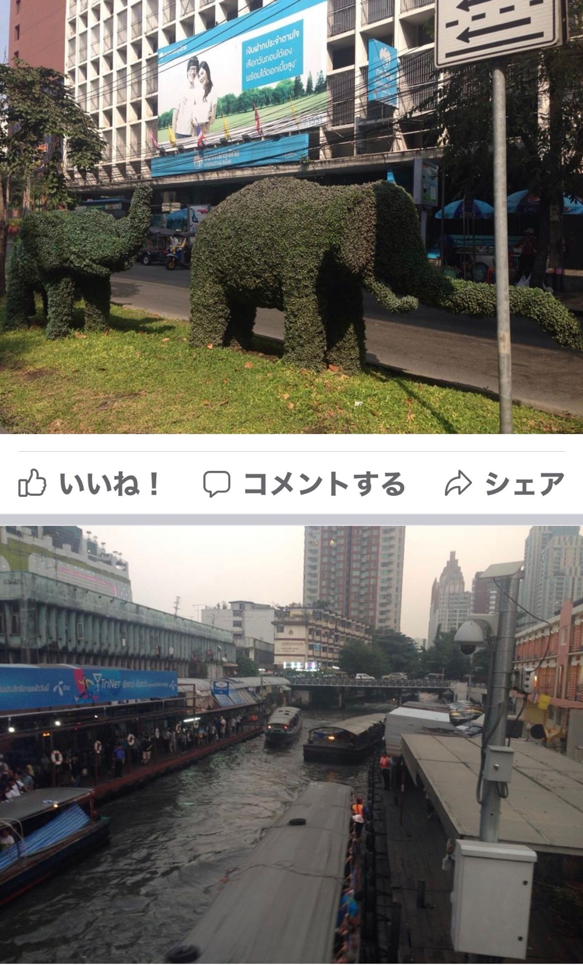 2013.12.09
プールで日光浴
タイ式マッサージ1時間640円
  ...