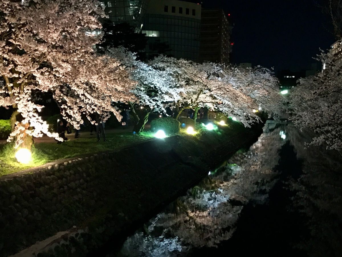 富山市 松川べり
富山市のど真ん中を流れる松川の川辺は、市民に愛される桜ス...