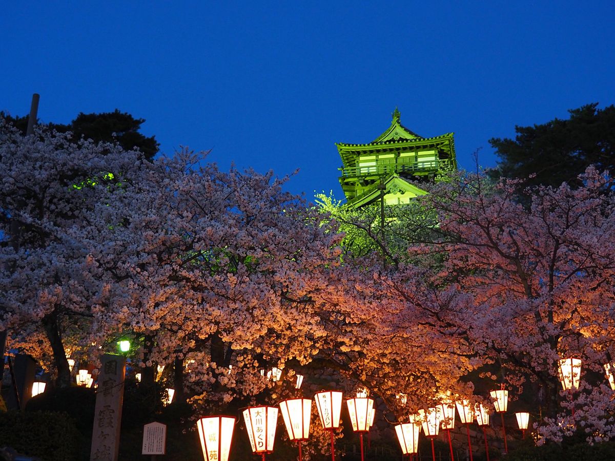 福井県 丸岡城
坂井市にある丸岡城は、小さな山のてっぺんにある小さなお城。...
