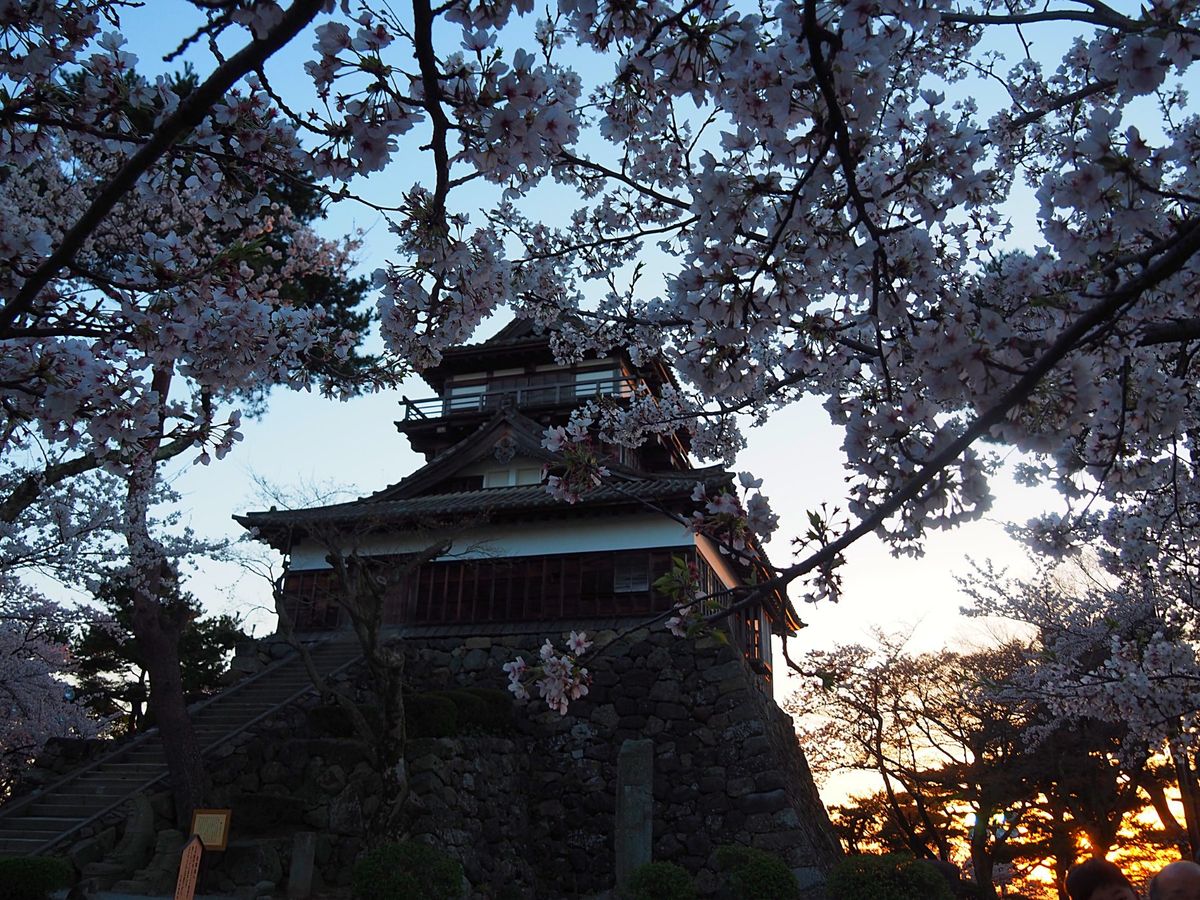 福井県 丸岡城
坂井市にある丸岡城は、小さな山のてっぺんにある小さなお城。...