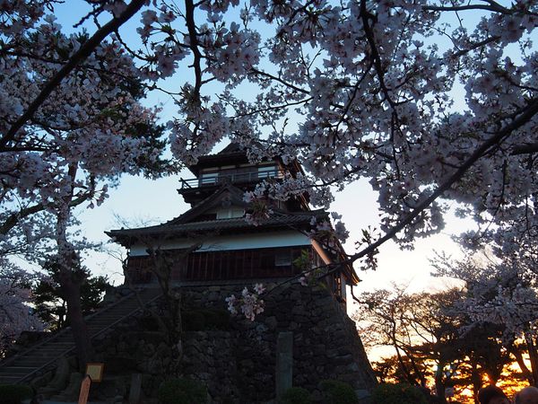 日本・富山「ニッポン北陸 サクラ紀行🌸」の写真：福井県 丸岡城
坂井市にある丸岡城は、小...