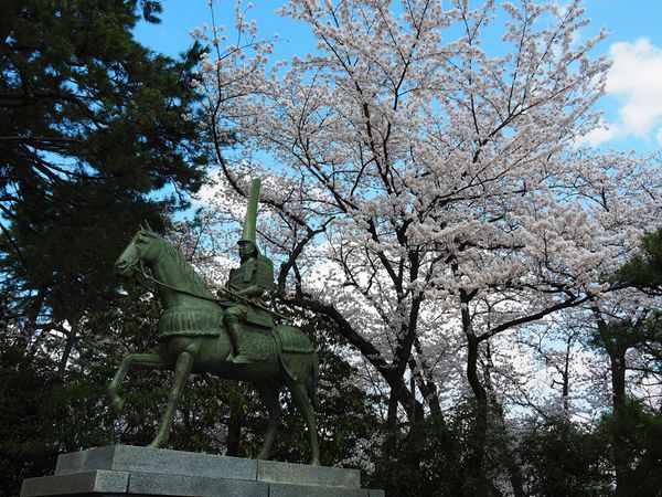 日本・富山「ニッポン北陸 サクラ紀行🌸」の写真：高岡古城公園
高岡市の古城公園も富山県の...