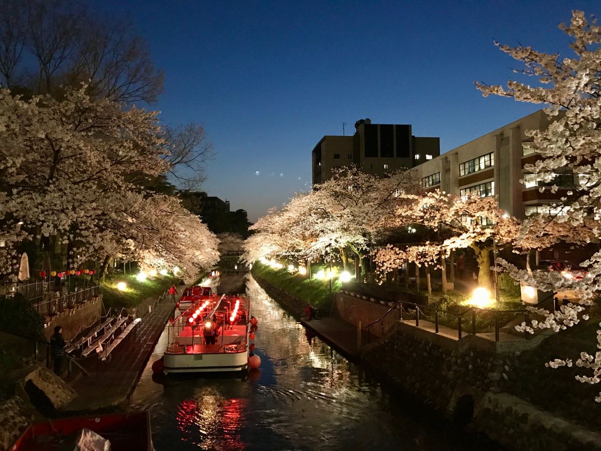 富山市 松川べり
富山市のど真ん中を流れる松川の川辺は、市民に愛される桜ス...