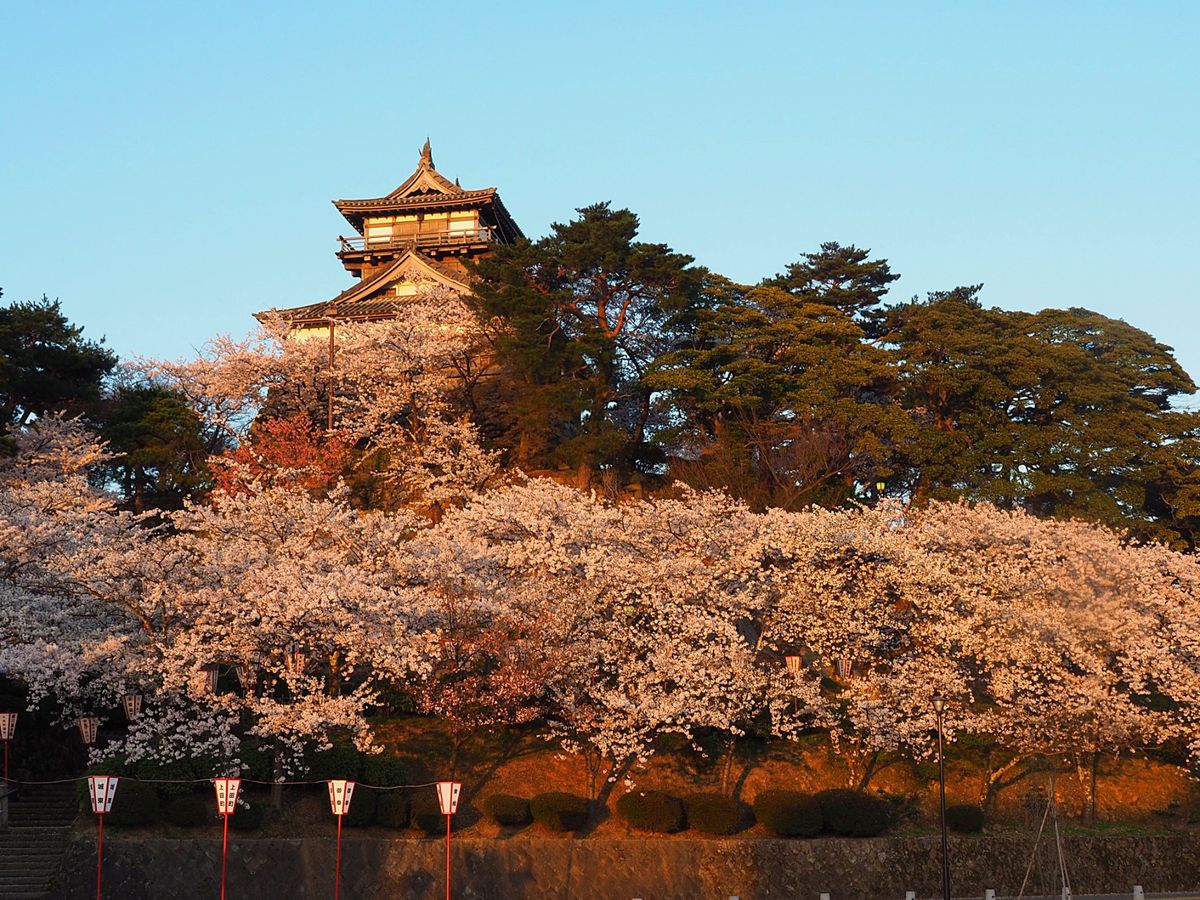 福井県 丸岡城
坂井市にある丸岡城は、小さな山のてっぺんにある小さなお城。...