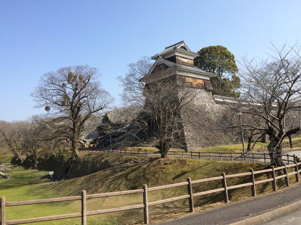 日本・熊本城「震災から復興祈願を祈りに熊本の旅」の写真