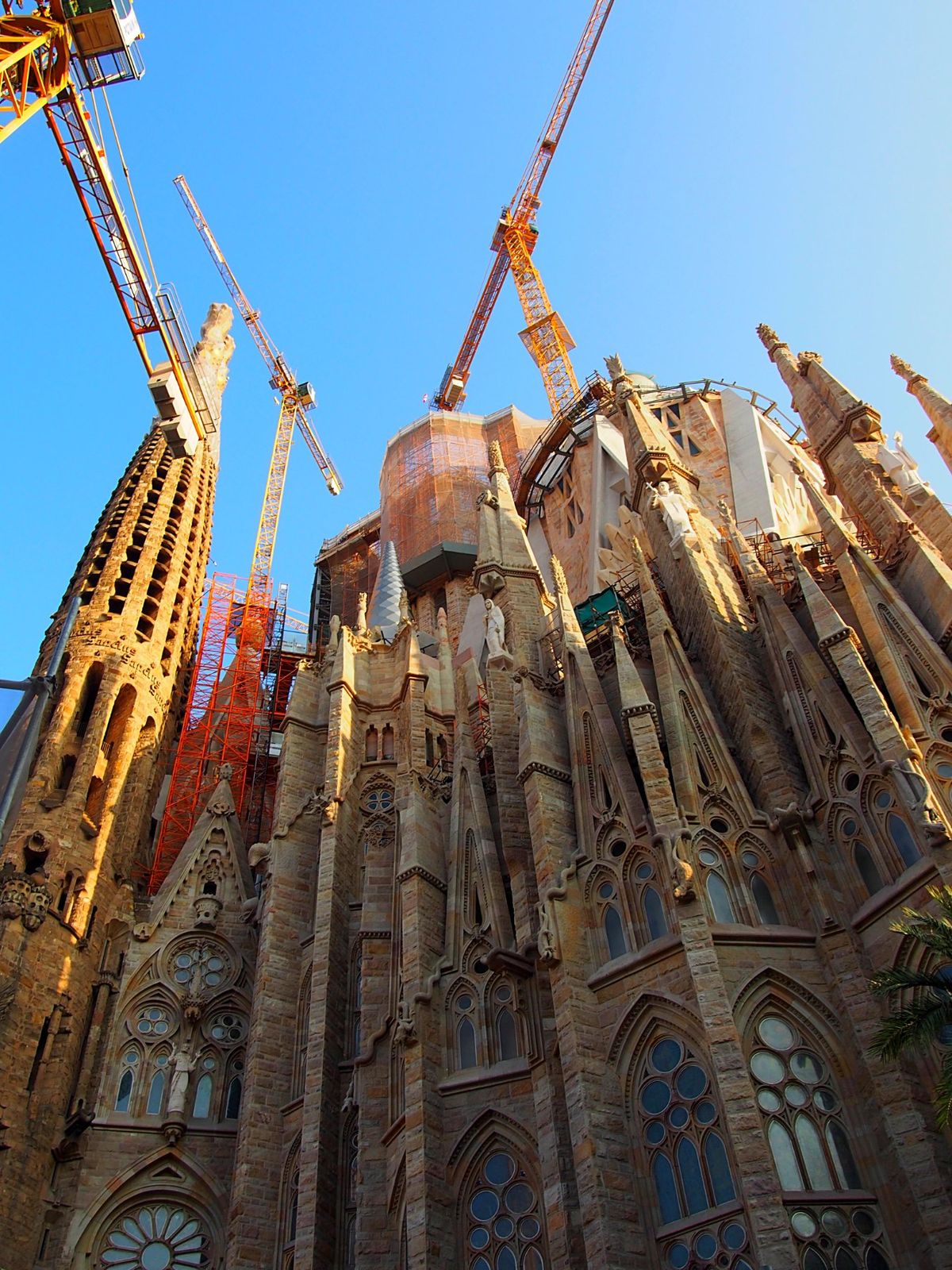 サグラダファミリア
今なお建設が続く、言わずと知れた世界一有名な教会。
カ...