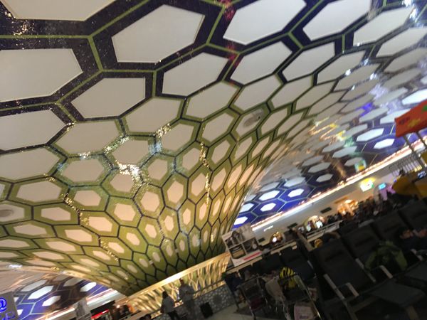 フランス・パリ「フランス・パリ/Paris France」の写真：おまけ
*
今回、エティハド航空を使い、...