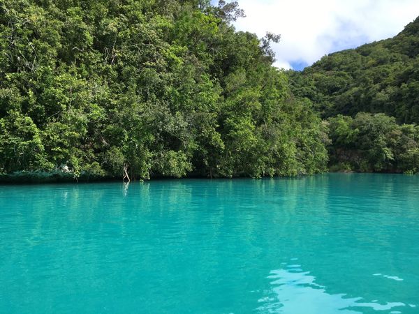 パラオ・ロングビーチ「パラオ旅行」の写真