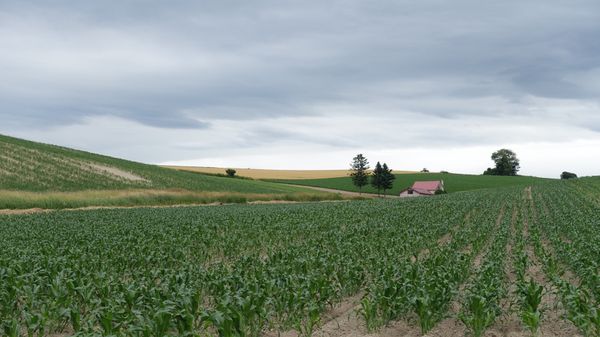 日本・小樽「2019 富良野・美瑛・小樽」の写真：小樽でウニ食って千歳空港でしか食えないコ...